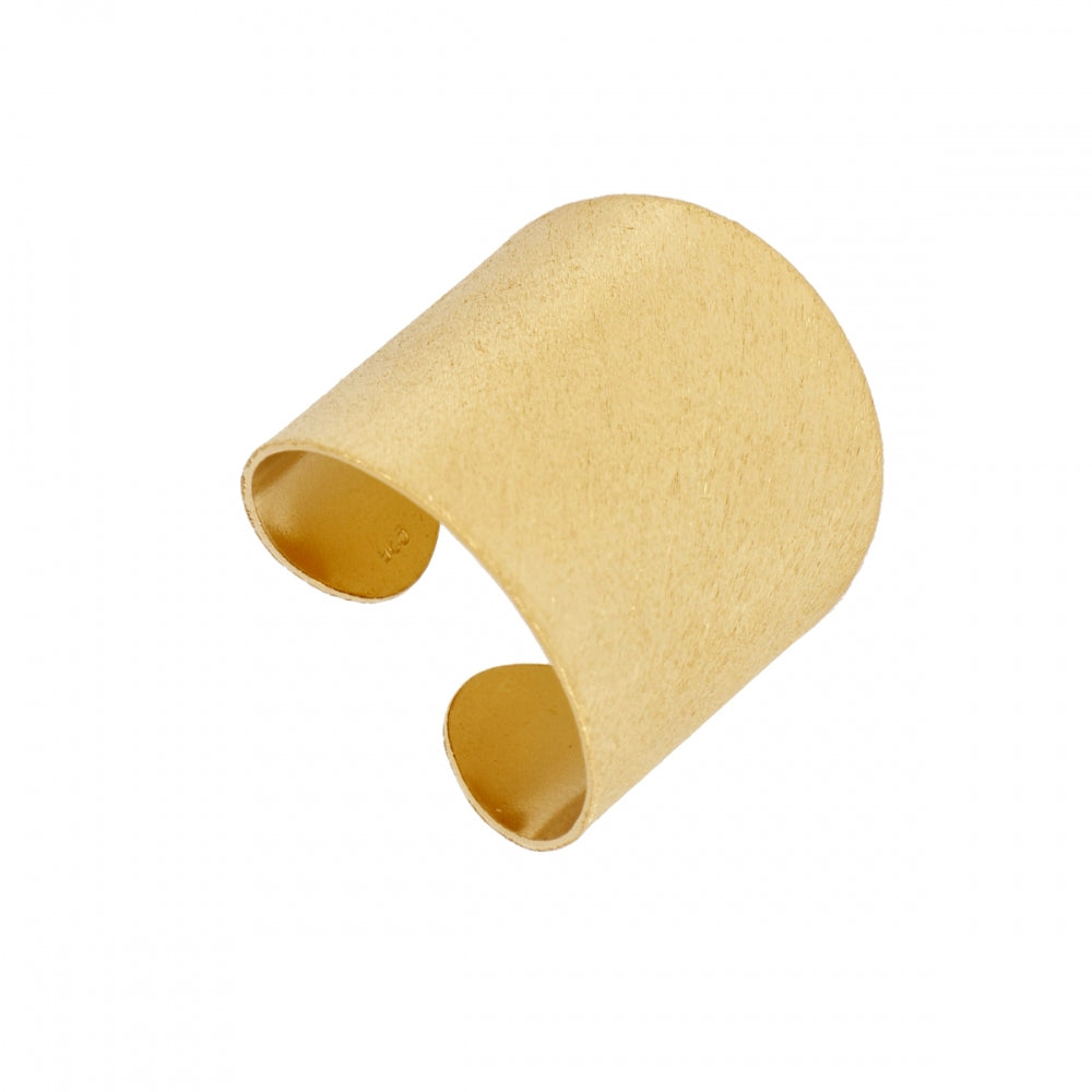 Anillo Alanis