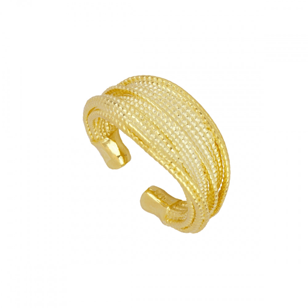 Anillo Viso