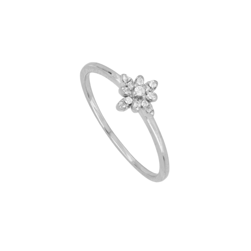 Anillo Elbio