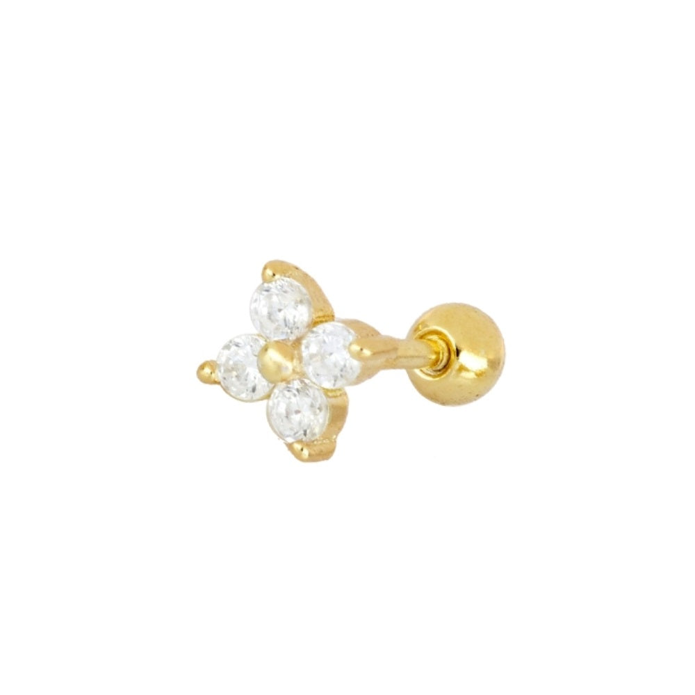 Piercing Niyam