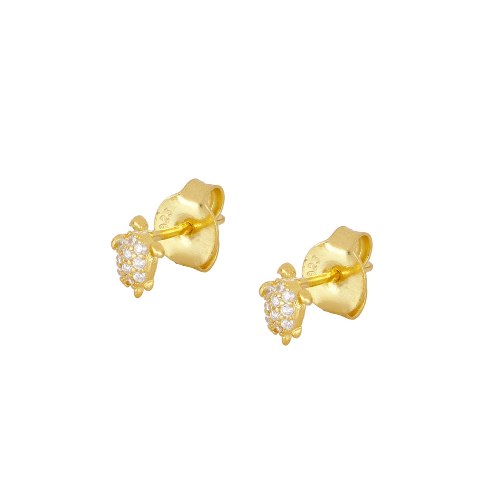 Pendientes Pawikan