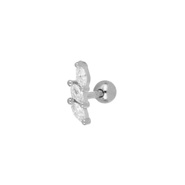 Piercing Brangus