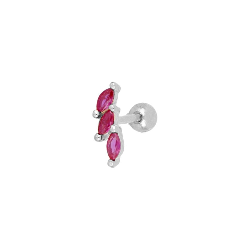 Piercing Brangus