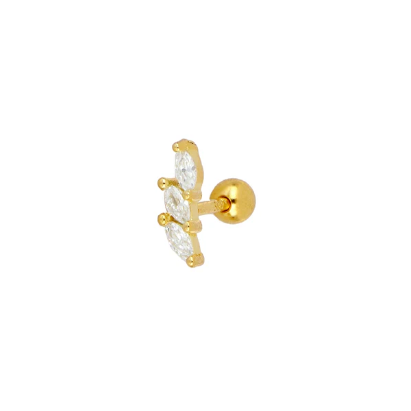 Piercing Brangus