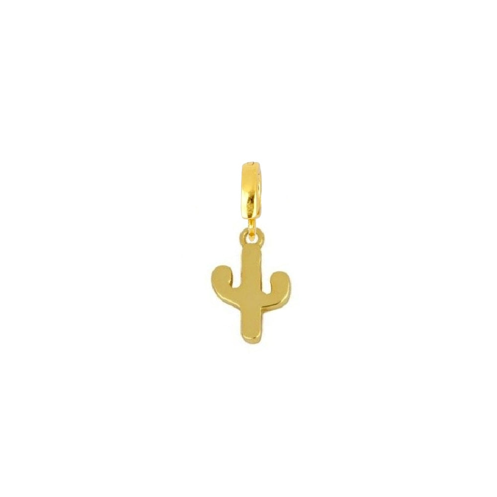 Charm Kaktüs