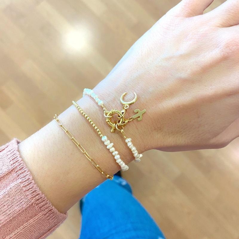 Charm Kaktüs