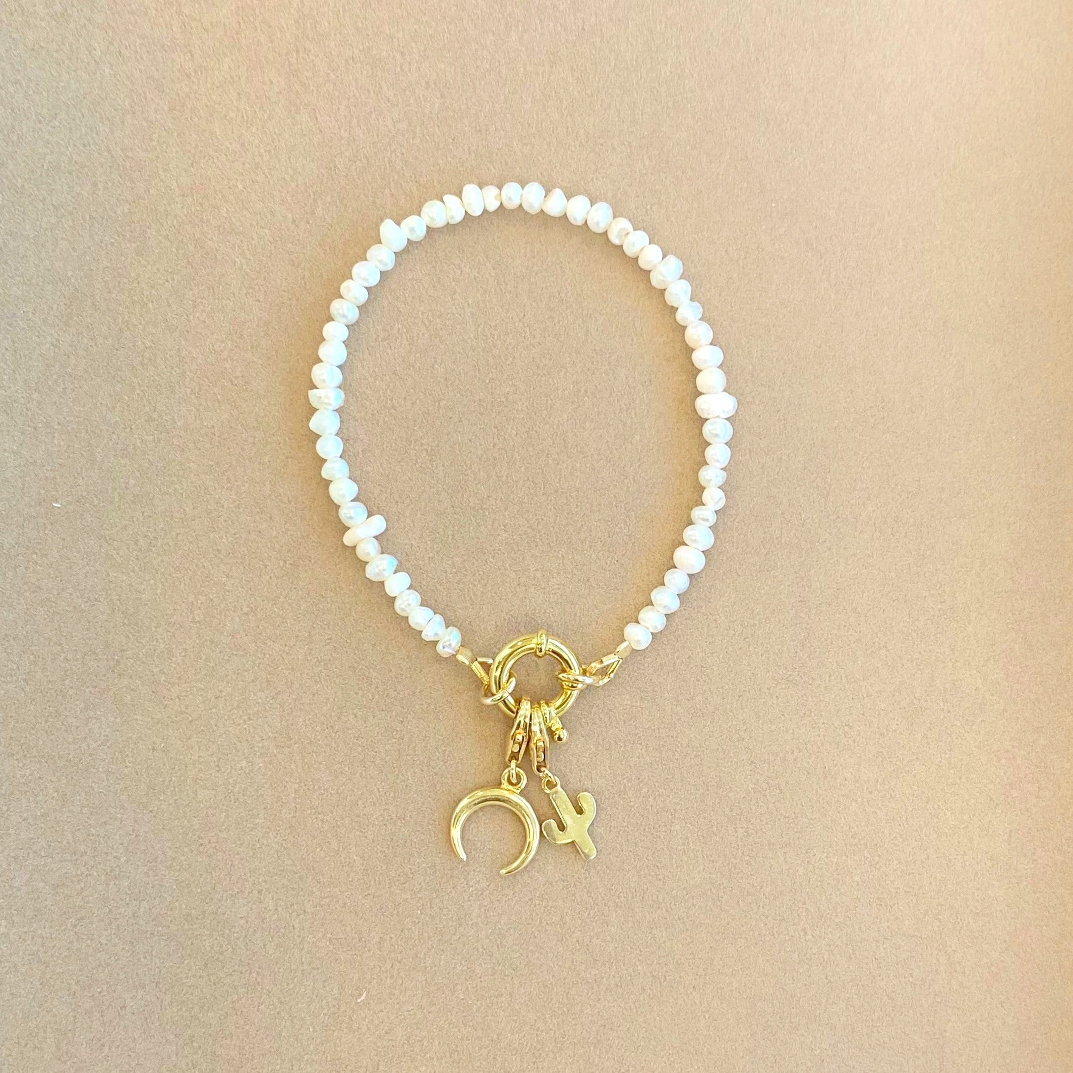 Charm Kaktüs