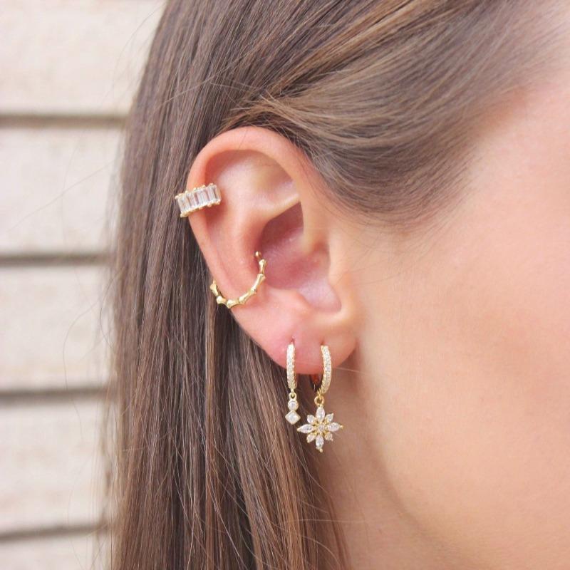 Pendientes Vedas