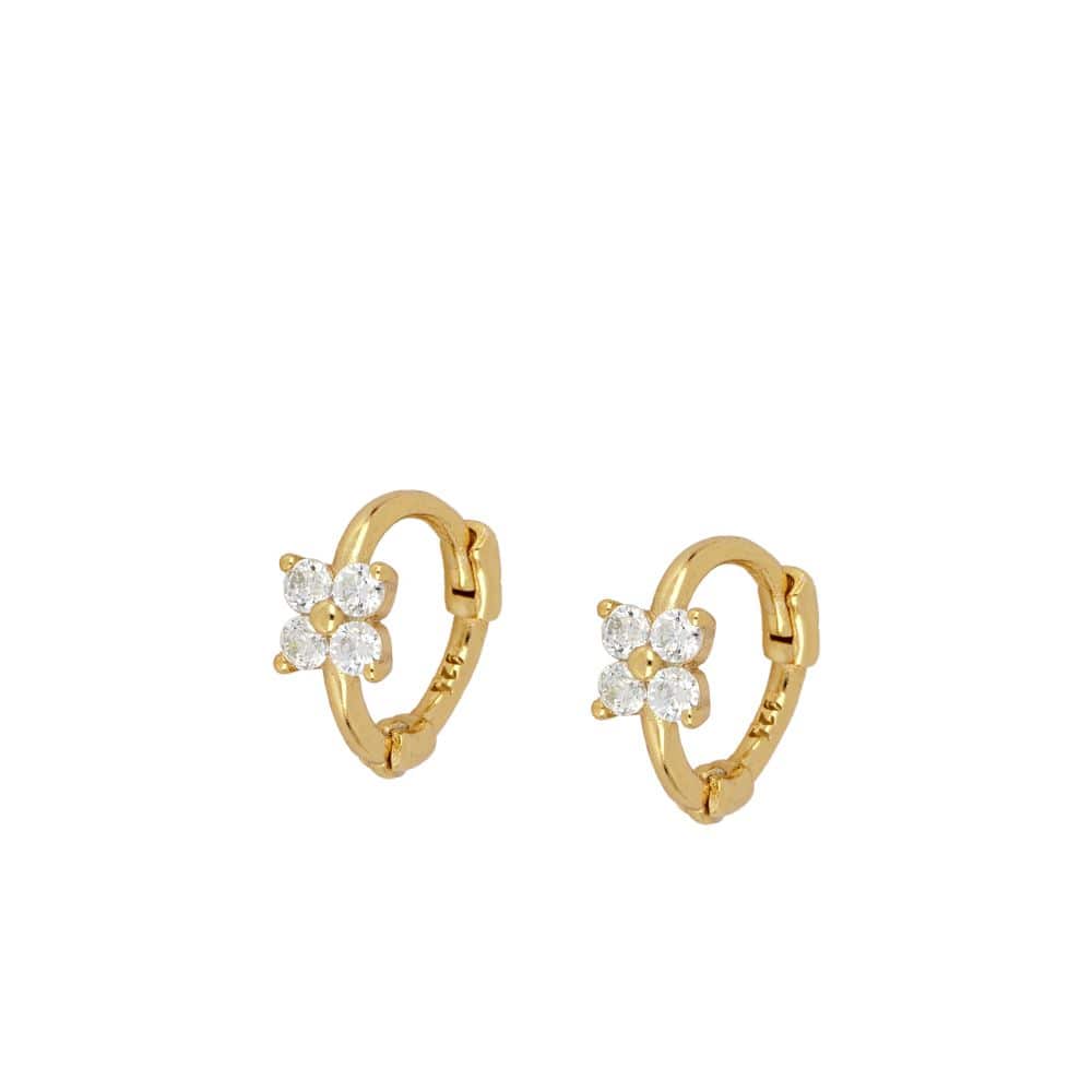 Pendientes Rekha