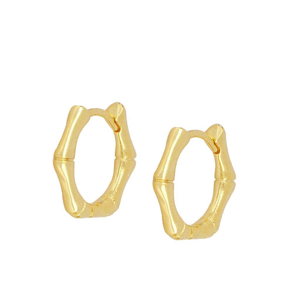 Pendientes Trunkia