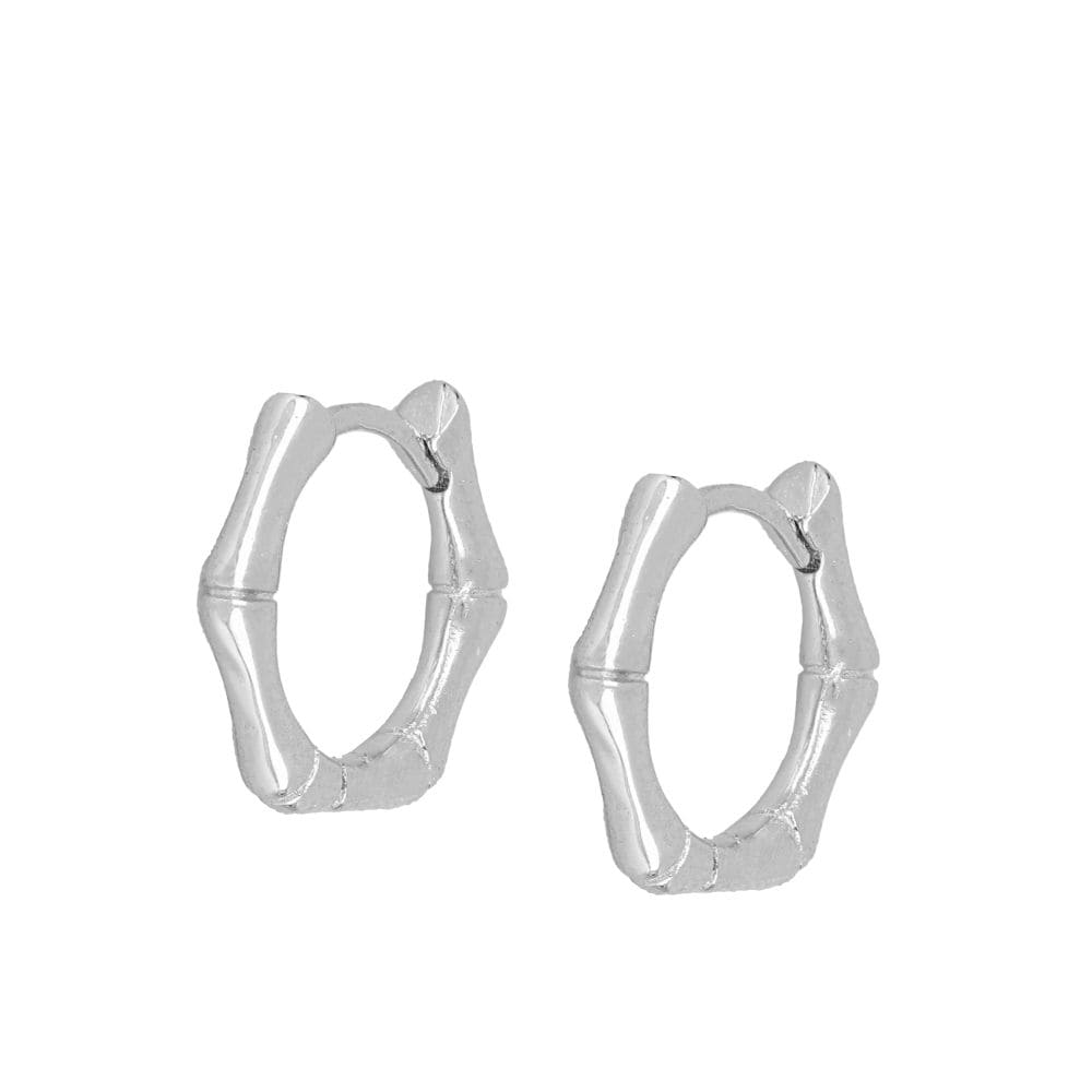 Pendientes Trunkia