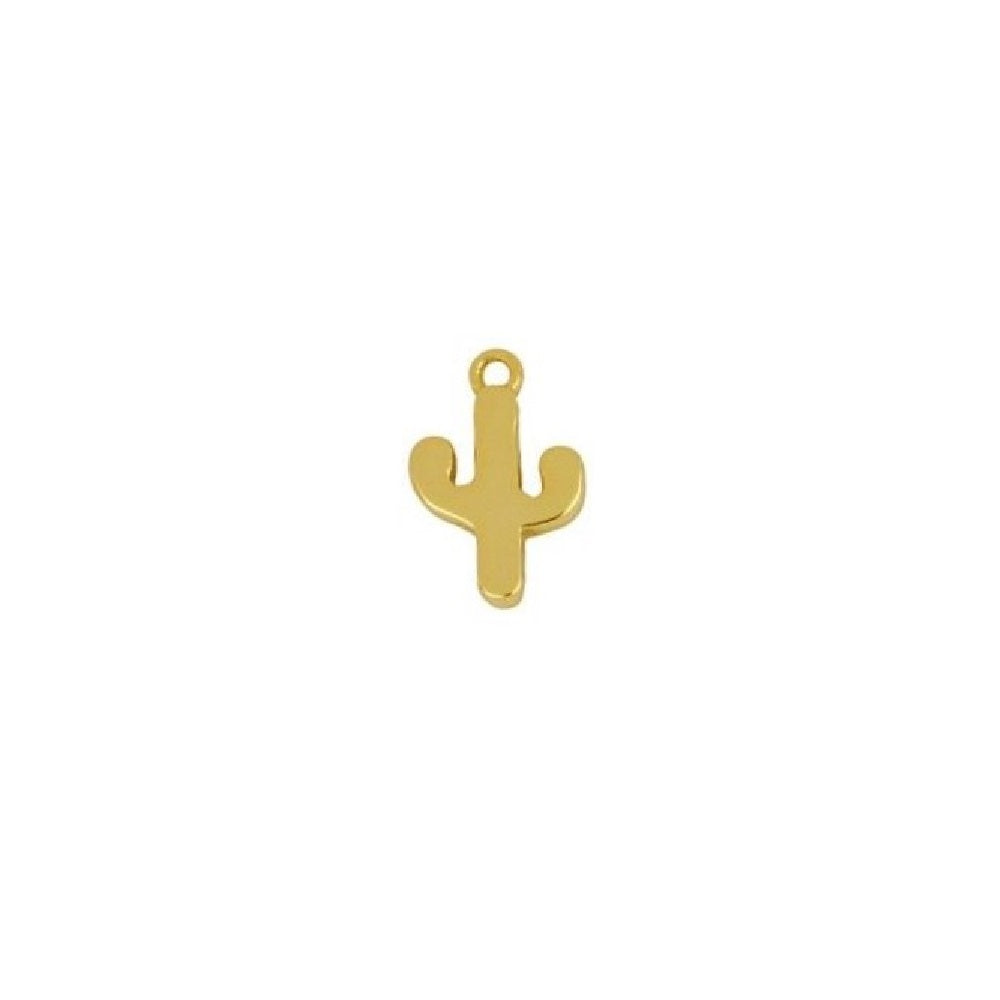 Charm Kaktüs