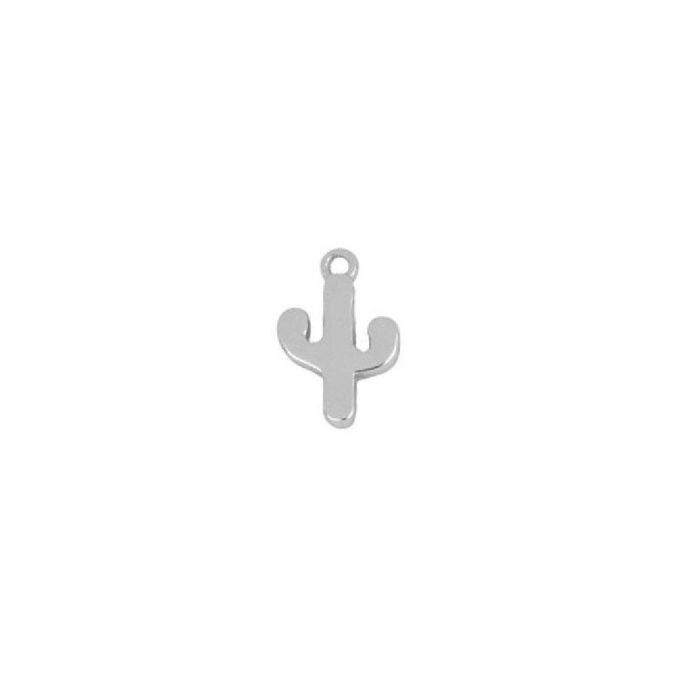 Charm Kaktüs