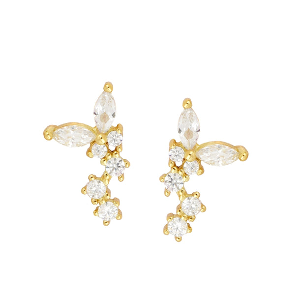 Pendientes Cointa Gold